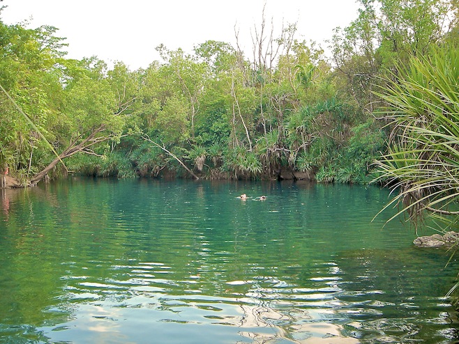 Berry  Springs Swimming Hole